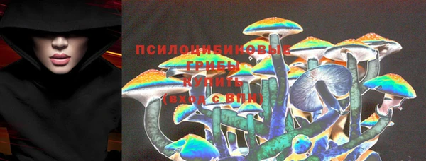 мяу мяу мука Переславль-Залесский