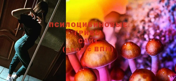 эйфоретик Пересвет
